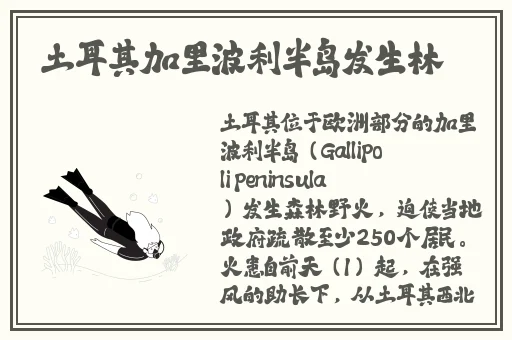 合欢视频软件下载免费 app华为手机怎么安装